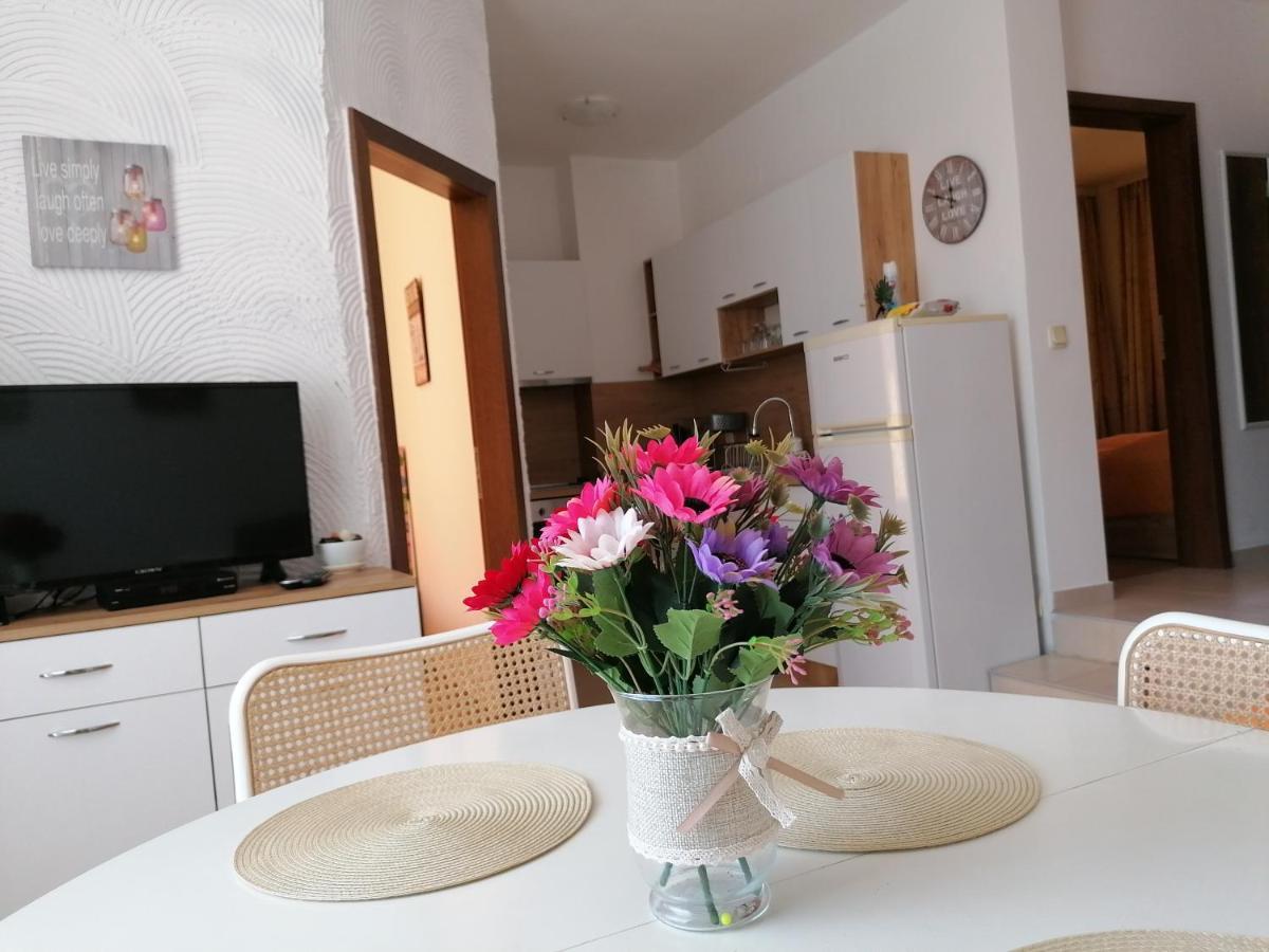 Apartments Elinor Budjaka سوزوبول المظهر الخارجي الصورة